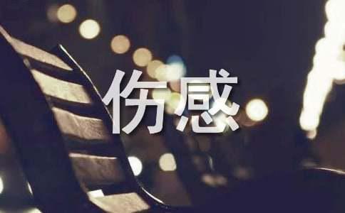 夫妻表示伤感的情感语录说说